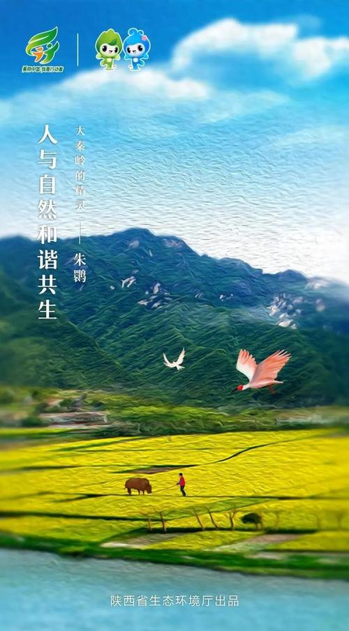2021年度优秀生态环境宣传产品⑩ | 海报:《人与自然和谐共生》(陕西